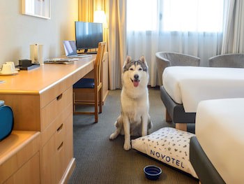 Novotel Torino Corso Giulio Cesare fotoğrafı