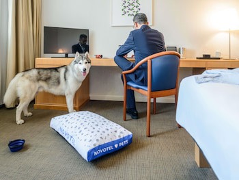 Novotel Torino Corso Giulio Cesare fotoğrafı