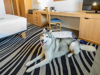 Novotel Torino Corso Giulio Cesare galeri fotoğrafı