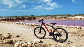 Reef Yucatan Hotel And Convention Center All Inclusive