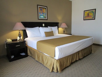 Best Western Hotel Posada Del Rio Express