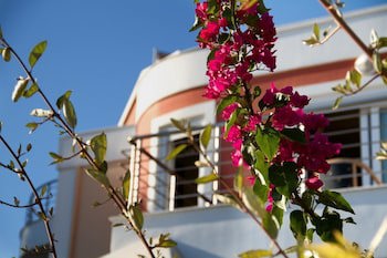 Heliotrope Hotels
