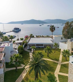 Mavi Suite Turkbuku