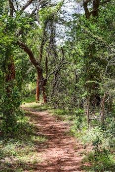 Gooderson Bushlands Game Lodge