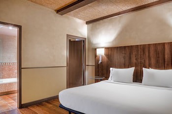 Hotel Palacio Del Carmen, Autograph Collection