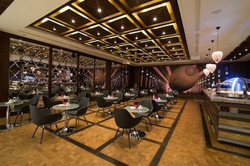 Airport Hotel Okecie