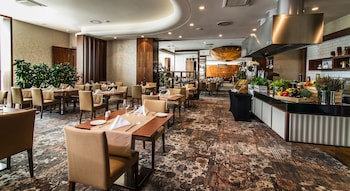 Airport Hotel Okecie
