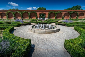 Altstadthotel galeri fotoğrafı
