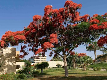 Mercure Ismailia Forsan Island Hotel fotoğrafı