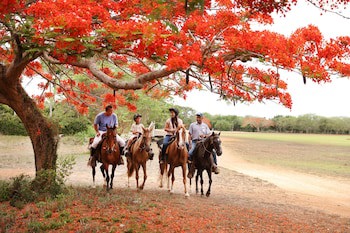 Casa De Campo Resort And Villas