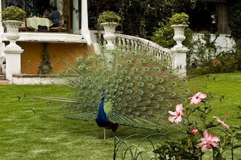 La Mirage Garden Hotel And Spa