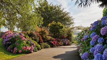 Summer Lodge Country House Hotel