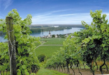 Best Western Wein-Und Parkhotel Nierstein fotoğrafı