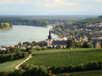 Best Western Wein-Und Parkhotel Nierstein fotoğrafı