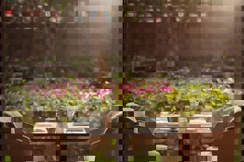 Sheraton Istanbul Levent