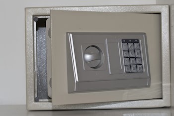 Bisonte Libertad