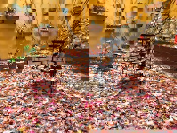 Erguvan Hotel - Special Class