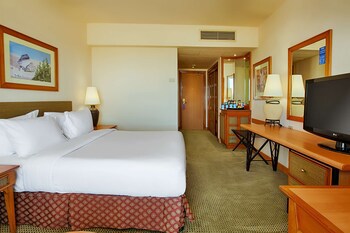 Hilton Alexandria Green Plaza
