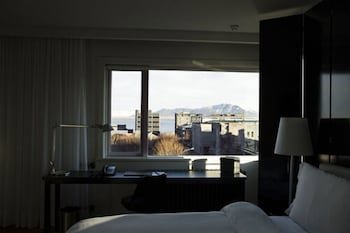 101 Hotel, Reykjavik, A Member Of Design Hotels