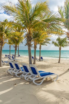 Viva Fortuna Beach By Wyndham, A Trademark All Inclusive