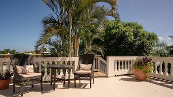 Lazy Parrot Inn