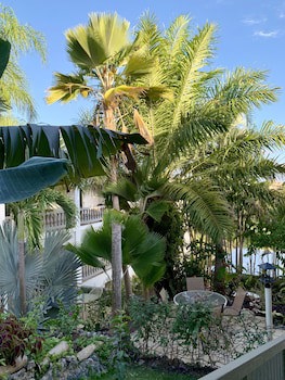 Lazy Parrot Inn