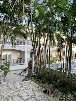 Lazy Parrot Inn