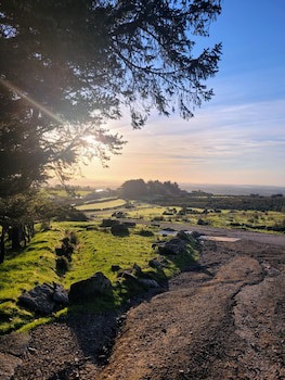 Wheal Tor