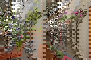 Arena Hotel - Special Class