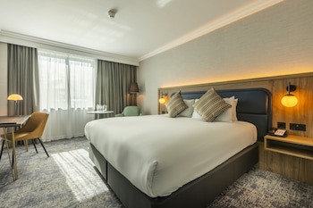 Crowne Plaza Birmingham Nec, An Ihg Hotel