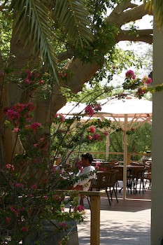 Ein Gedi Kibbutz Hotel