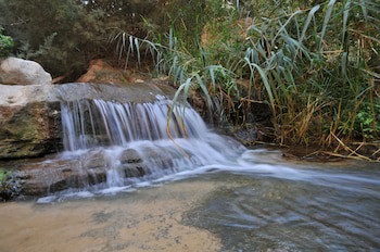 Ein Gedi Kibbutz Hotel