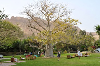 Ein Gedi Kibbutz Hotel