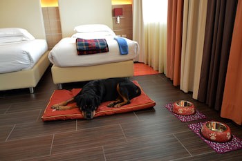 Best Western Plus Soave Hotel fotoğrafı