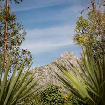 Alanda Marbella Hotel