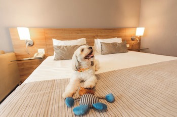 Comfort Suites Londrina
