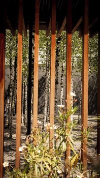 Greulich Design & Boutique Hotel