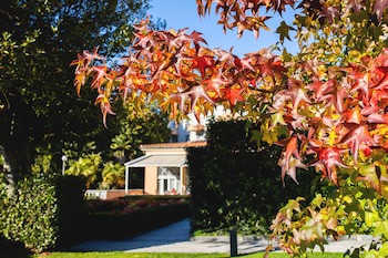 Villa Sassa