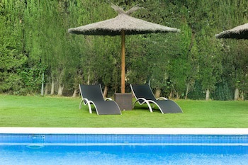 Ac Sevilla Forum