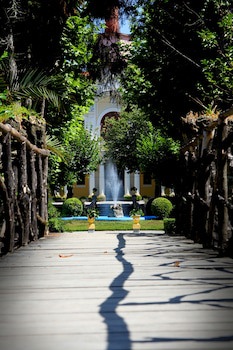 Hotel Das Termas Curia