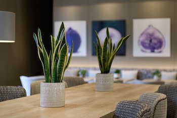 Ac Hotel Ciutat De Palma By Marriott