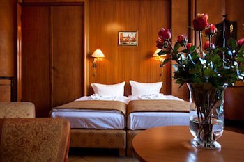 Hotel Aster