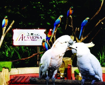 A'famosa Resort
