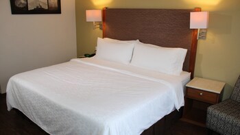 Holiday Inn Orizaba, An Ihg Hotel