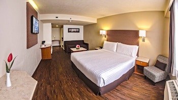 Holiday Inn Orizaba, An Ihg Hotel