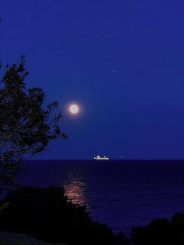 Kavos Bay Seafront Hotel galeri fotoğrafı