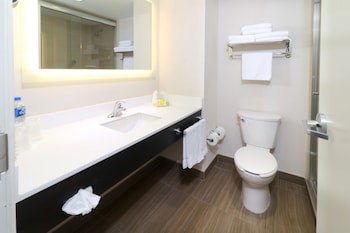 Holiday Inn Tampico Altamira, An Ihg Hotel