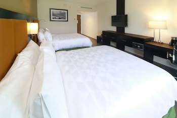 Holiday Inn Tampico Altamira, An Ihg Hotel