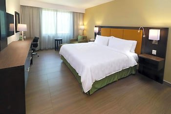 Holiday Inn Tampico Altamira, An Ihg Hotel
