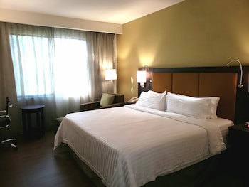 Holiday Inn Tampico Altamira, An Ihg Hotel